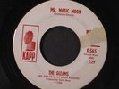 GLEAMS: Mr. Magic Moon / Pile Driver 45 (dj, lbl tear) Vocal Groups