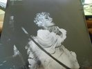 Deerhunter ?– Halcyon Digest  4AD ?– CAD 3X38  2010 NEW 2010