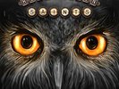 Revolution Saints-Light In The Dark (Ltd. Vinyl Edition)  VINYL NEW
