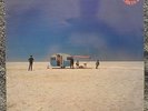 Cold Chisel - Circus Animals LP (600113)