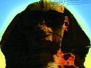 Kiss - Hot In The Shade (Ltd.Back To Black)