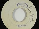 Soulettes/Wailers 