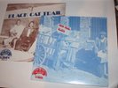 2 Mamlish Label VA  Black Cat Trail & New Deal Blues RE delta acoustic electric