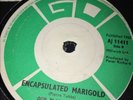 Our Plastic Dream.7”.A-little Bit Of Shangrila.Psych.1967 Original.vinyl.45rpm.