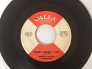 RARE NORTHERN ORIGINAL   FRANKIE CLASSICALS   WHAT SHOULD I DO   CALLA   EX COND
