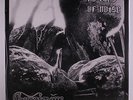 GURNEMANZ - NO RAYS OF NOISE - FOLK ROCK - NEW