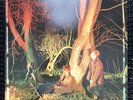 Echo And The Bunnymen - Crocodiles - 1980 1st Press SRK 6096 Near Mint (NM)