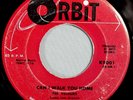 HEAR IT 50's Doo-Wop 45 rpm record The Velours 