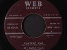 RAY RIVERA: Calypso Cat / Lola Gone 45 Oldies
