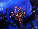 On The Threshold Of a Dream (Gatefold Sleeve) [180 gm Vinyl] Moody Blues Vinyl