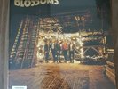 BLOSSOMS DEBUT 12