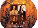 STEVE VAI IN MY DREAMS WITH YOU  RARE Vinyl Record Picture Disc