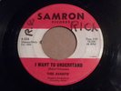 THEE AVANTIS - RARE PA GARAGE MOD 45 on SAMRON I Want to Understand / Nancy HEAR