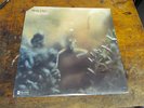 STEELY DAN Katy Lied LP ABC 70s rock SEALED cut out no bar
