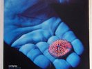 Coldplay - The Blue Room EP 12'' Vinyl / Vinile 12''
