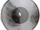 X-Ray Audio roentgen film Record Bones Ribs 50s Leshchenko You're going drunk