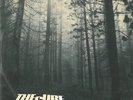 THE CURE A Forest Vinyl Record 12 Inch Fiction FICSX 10 1980 Original 1st Press