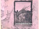 LED ZEPPELIN 1972 STAIRWAY TO HEAVEN ROCK AND ROLL BLACK DOG US 7