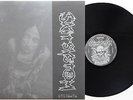 Skitsystem ?- Stigmata LP Martyrdod At The Gates Disfear Nasum Driller Killer HC