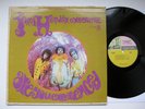 ULTRASONIC CLEAN - Jimi Hendrix-Are You Experienced-TRI-COLOR LABEL-Stereo EX+