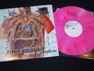 Strung Out - Prototypes and Painkillers LP punk rock lagwagon nofx bad religion