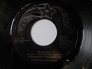 VISIONS OF TOMORROW Galaxy FUTURE NOW Space Funk 1981 Mobile, Al ORIG PRESS 45