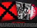 The White Stripes / Vault 33 / Icky Thump 2XLP ONLY + Box