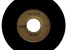 THE SHADES-PRINCETON RECORDS WEBSTER CITY, IA 1968 GARAGE FUZZ 45-SINGLE-RARE