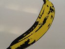 Velvet Underground & Nico 12
