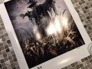 Fields of the Nephilim - Carl McCoy Hand-Signed Poster