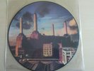 pink floyd lp (picture disc)  animals  issue 062_98434_p mint condition