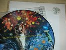 Tears For Fears 