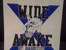 Wide Awake CT Hardcore SXE Judge Youth Of Today Chain Of Strength Schism Records