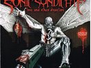 Sonic Syndicate Love and other Disasters LP + Bonus LP
