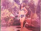 Nicaragua Salsa Guaguanco LP Eddy Davis y su Formula 4 Istmo Pops HEAR