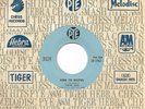 STATUS QUO DOWN THE DUSTPIPE VERY RARE LEBANON LEBANESE EXCELLENT