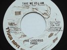 Funk Soul Crossover SF Bay THE LUSCIOUS THREE Take Me As I Am NM T'SUGA 45 MP3