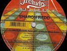 Sharon Redd Never Give You Up Vinyl Single 12inch NEW OVP Prelude Records