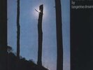 NEU LP Tangerine Dream - Ricochet - Live #G56821568