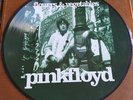 Pink Floyd Flowers & Vegetables Picture Disc LP *VERY RARE* *STUNNING*