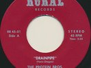 rare SURF jazz FUNK fuzz ROCK The Protein Bros DRAINPIPE Cholo RURAL Dragon BROS