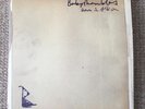Babyshambles Down In Albion LP 2x Vinyl Record Pete Doherty Rough Trade 2005