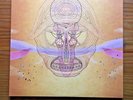 Devendra Banhart - What Will We Be vinyl record