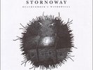 STORNOWAY - Beachcombers Windowsill Vinyl LP 4ad NEU