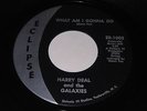 Harry Deal and the Galaxies: What Am I Gonna Do 45 - Northern Soul