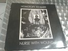 LP HOMOTOPY TO MARIE - NURSE WITH WOUND - ELECTRO EXPERIMENTAL - UD 013 -
