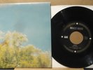 MODEST MOUSE Broke 7