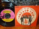 * * 2 CLEAN VG+ 1966 SHADOWS OF KNIGHT: PROMO FLEXI 