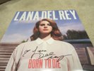 LANA DEL REY SIGNED BORN TO DIE VINYL   LP 12