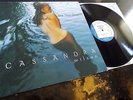 Cassandra Wilson ?- New Moon Daughter **Original 1996 Blue Note 2LP**